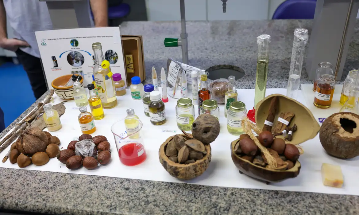 Centro de Bionegócios da Amazônia (CBA) cria modelos de negócios com base na biodiversidade